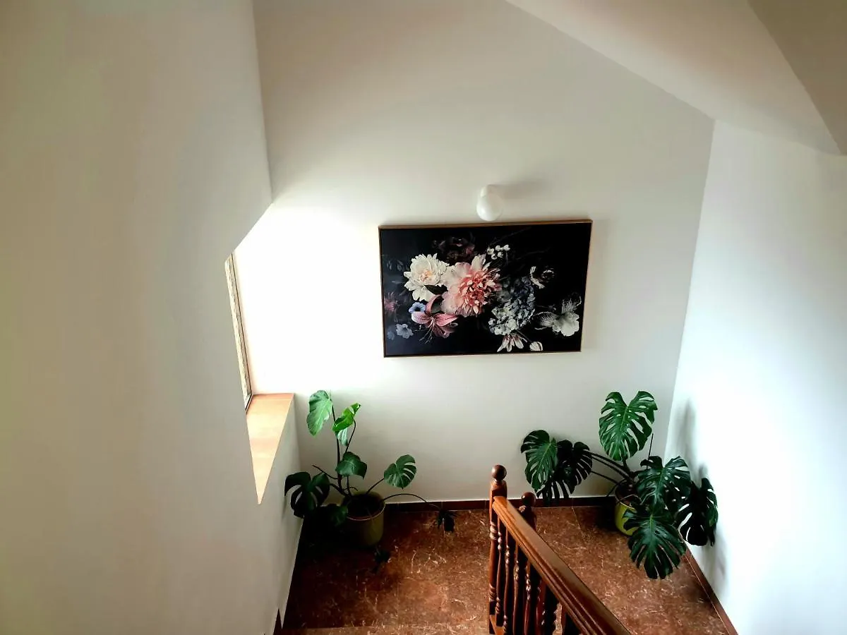 סבטי פיליפ אי ג'קוב Apartments Dolac 0*, סבטי פיליפ אי ג'קוב קרואטיה